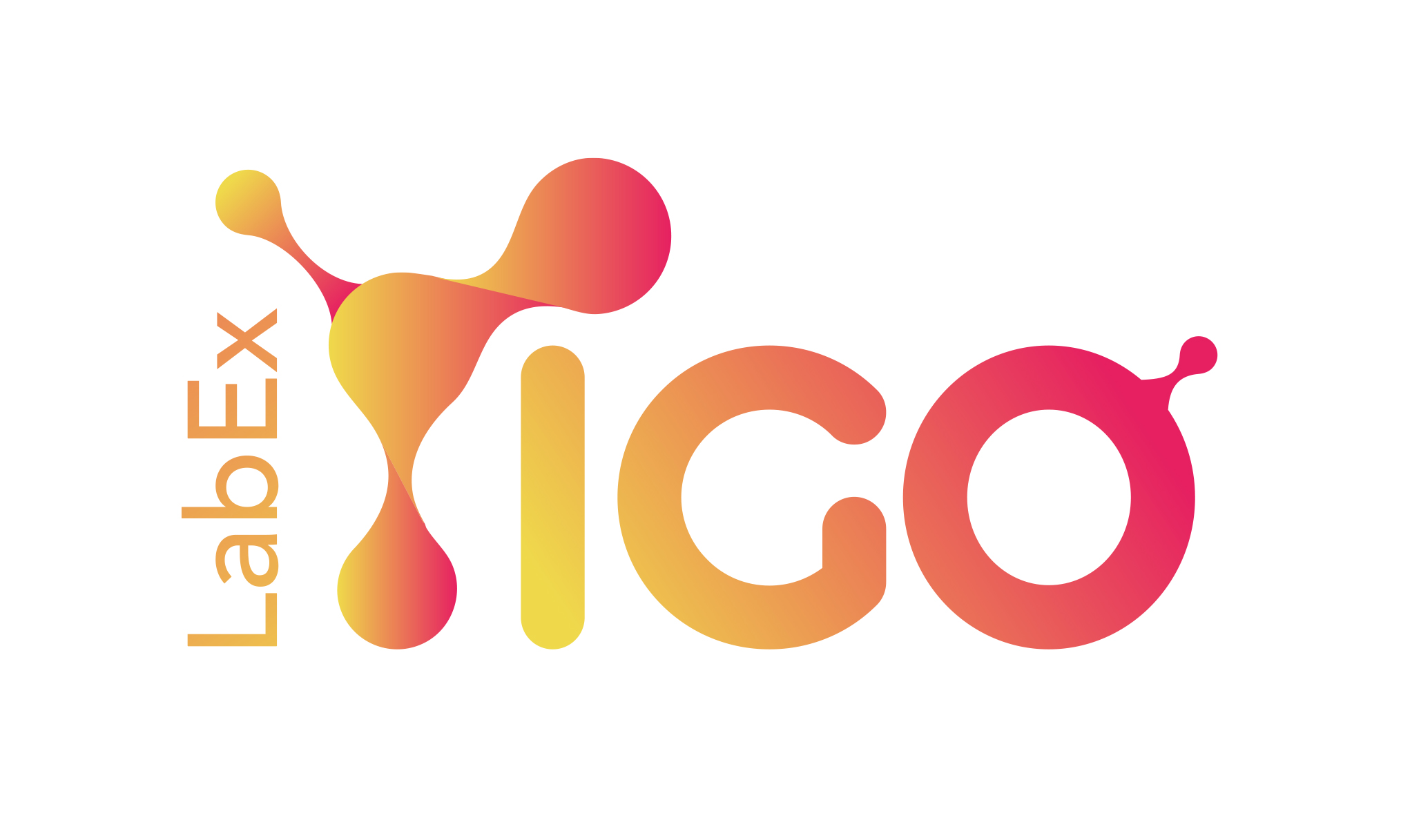 Back to homepage of website Labex ImmuNE